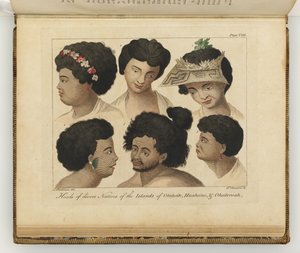 Különféle bennszülöttek fejei, illusztráció a Déli-tengeri utazás naplójából: Őfelsége hajóban, az Endeavourban, 1794 (kézzel színezett metszet)
